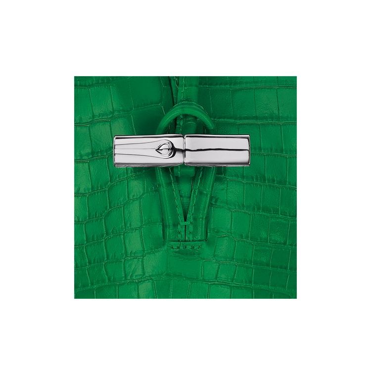 Coque Longchamp With Dentelle Cuir Vert | 79685-WYMZ