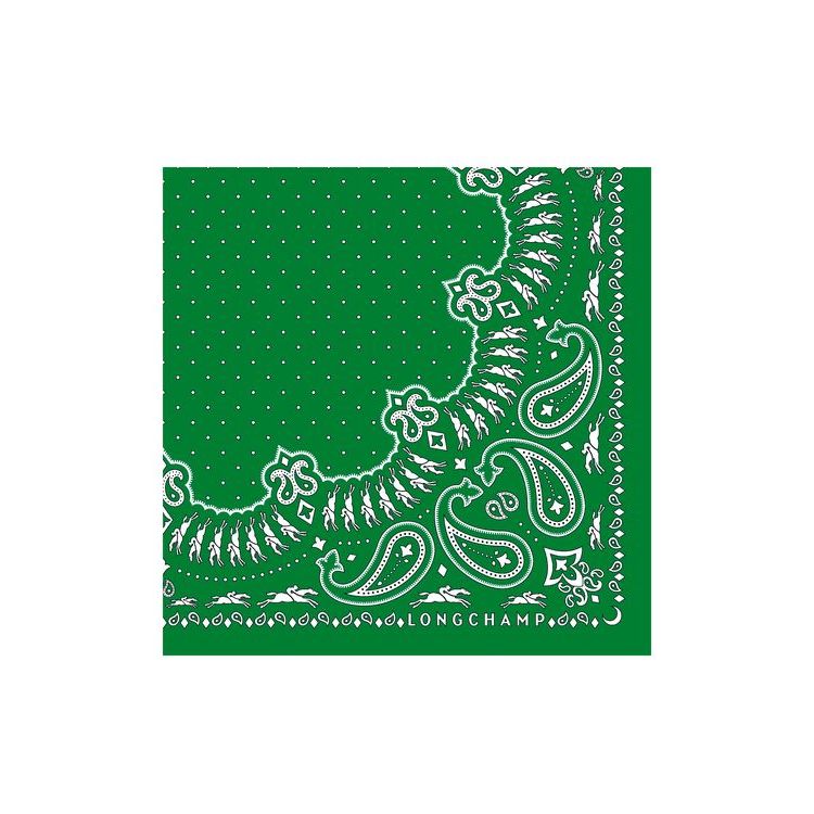 Echarpes Longchamp Scarf 50 Silk Vert | 94185-RMEH