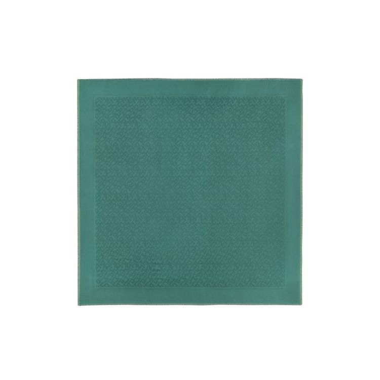 Echarpes Longchamp Shawl Other Grise Vert | 01592-ERCV