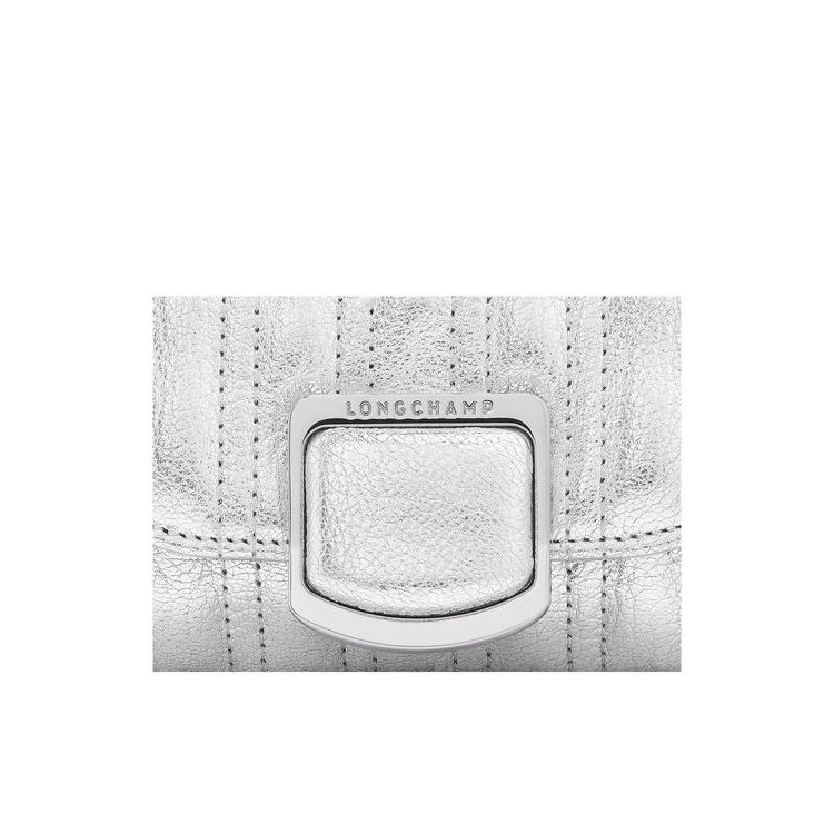 Portefeuille Zippé Longchamp Card With Cuir Argent | 63187-CMWR