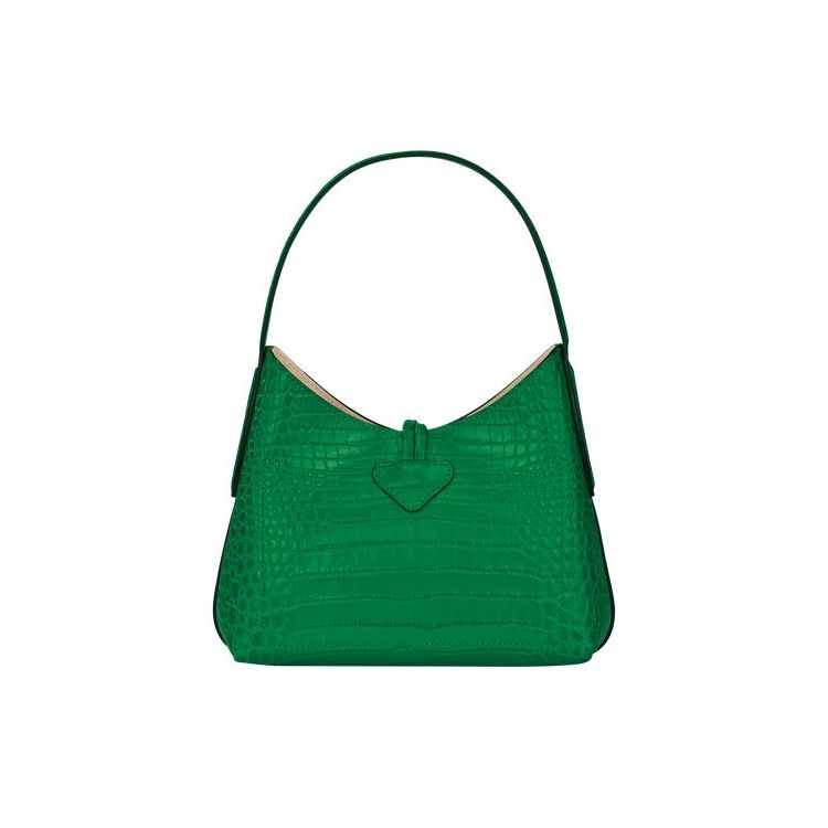 Sac Mini Longchamp Xs Cuir Vert | 68210-NVWS