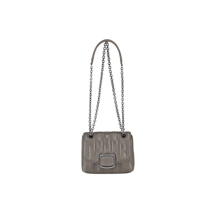 Sac Mini Longchamp Xs Turtledove Cuir Grise | 97034-NXSR