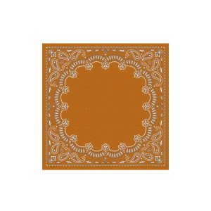 Echarpes Longchamp Scarf 50 Saffron Silk Orange | 79502-BOCK