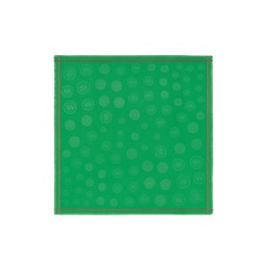 Echarpes Longchamp Shawl Coton Vert | 50476-XHNG