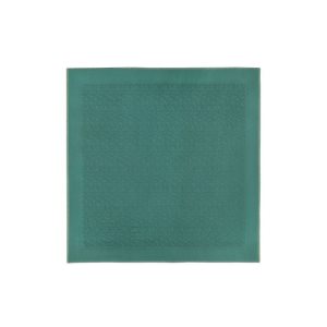 Echarpes Longchamp Shawl Other Grise Vert | 64183-YAKO