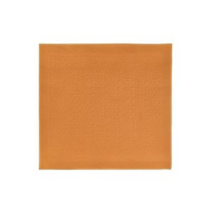 Echarpes Longchamp Shawl Saffron Other Orange | 98731-YTLO