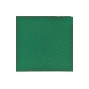 Echarpes Longchamp Shawl Silk Blend Vert | 92870-SZFO